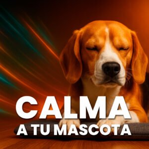 Calma a tu mascota